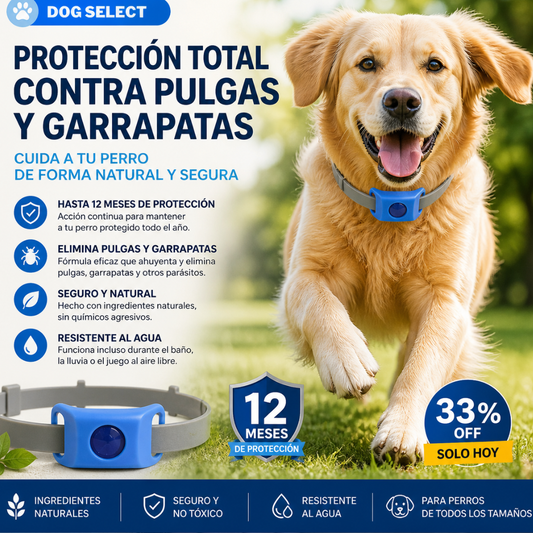 botella para perros